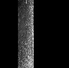 Jet In Long Cylindrical Cavity