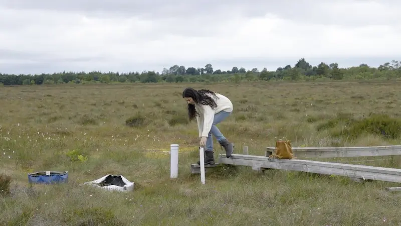 A woman in jeans and a white sweater bends down on a wooden boardwalk, holding a white pipe in a vast, grassy wetland under a cloudy sky.