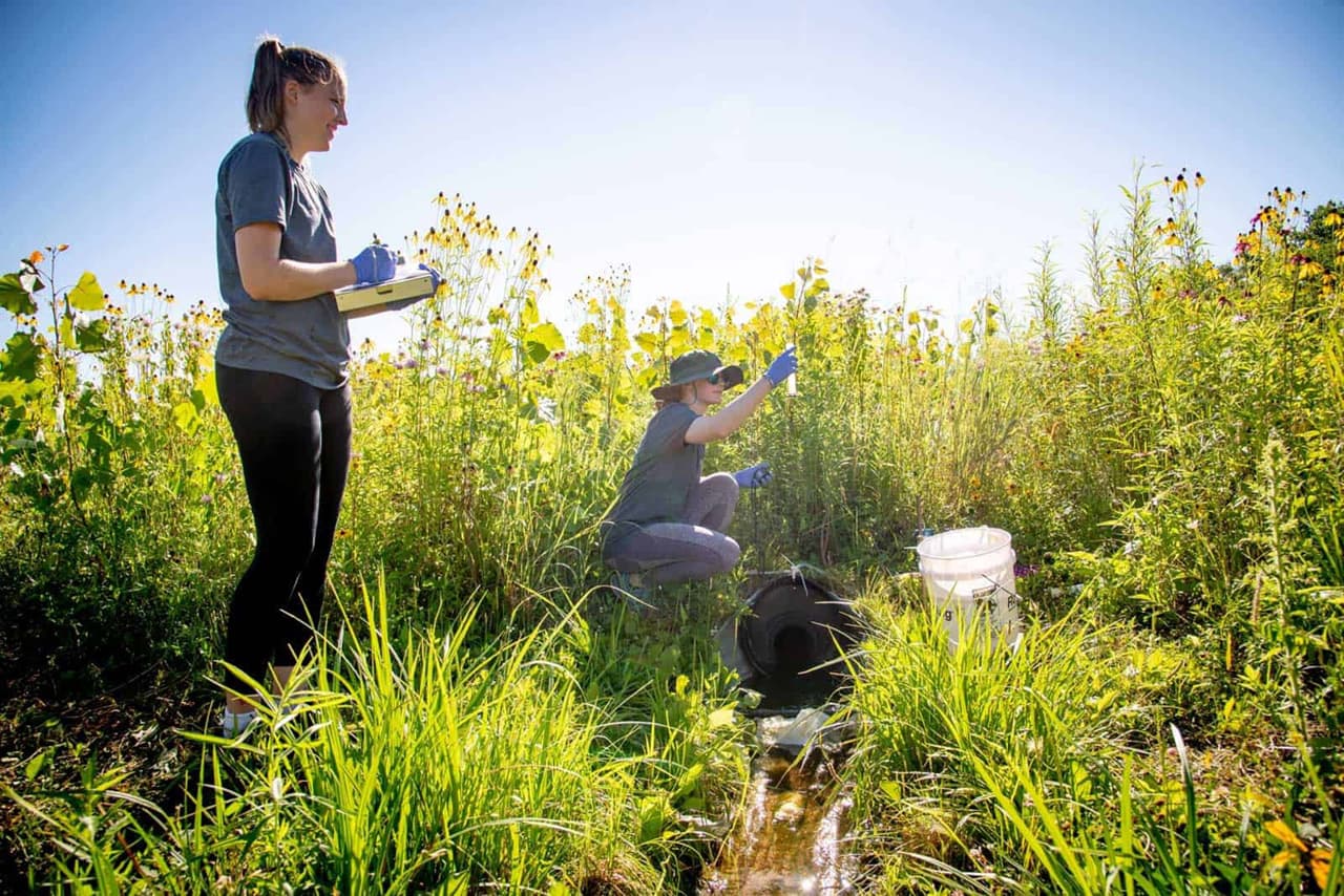 Two students conduct fieldwork in a prairie. Tall grasses and yellow wildflowers surround them.