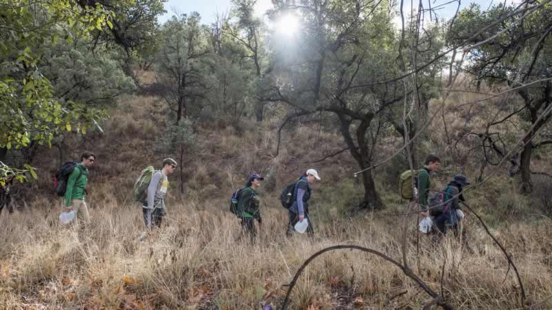 Team members walking through woods