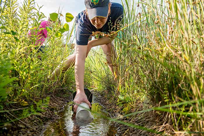 A student dips a container into a stream at ND-LEEF.