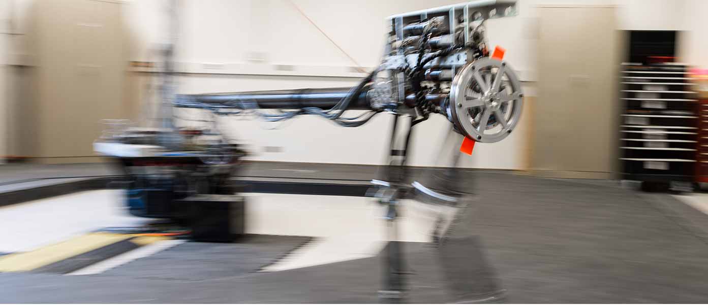 A biped robot used for spinal cord research in Professor Schmiedeler’s laboratory