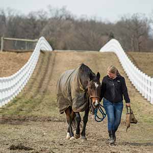 March 7, 2016; Food Service at Lucky Horse Equestrian Center. (Photo by Barbara Johnston/University of Notre Dame)