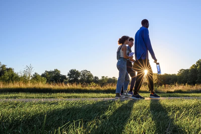 Students walk along a path having a conversation with a lens flare appearing on the leg of one of the students.