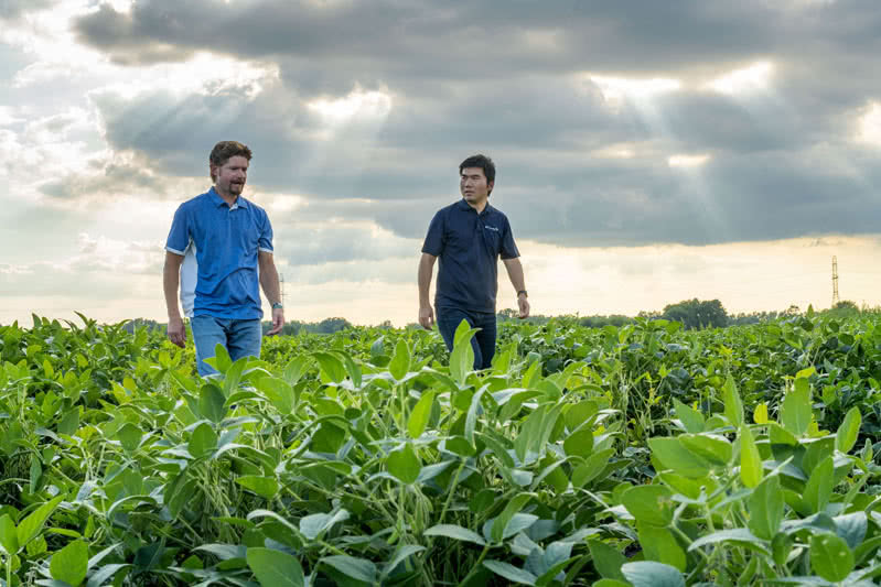 Two men walking in a crop with rays of light shining from the gray clouds.