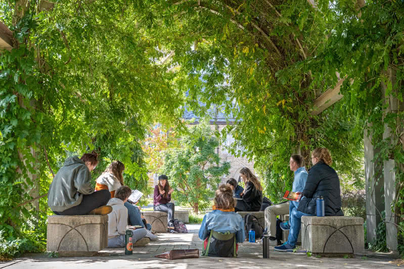 Group of students sitting on a concrete patio surrounded by green vegetation growing on arches around them.