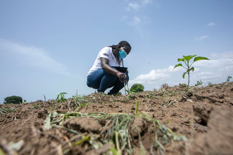 A person squatting on the ground looking at plants