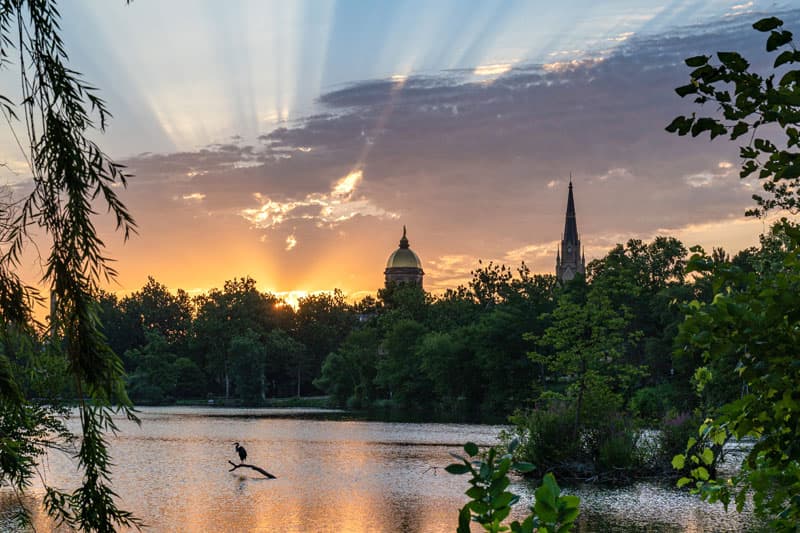 A heron perches on a branch in St. Mary's Lake at sunrise