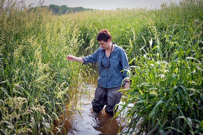 A woman stands in a stream surrounded by tall grasses.