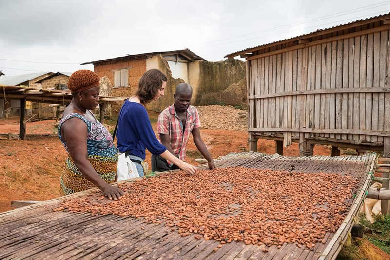 Three people sifting through cocoa nibs in Uganda.
