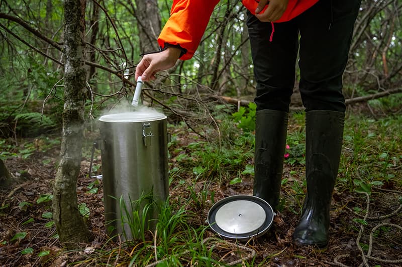 A student placing a vial containing leaf samples into a metal canister for nitrogen freezing.