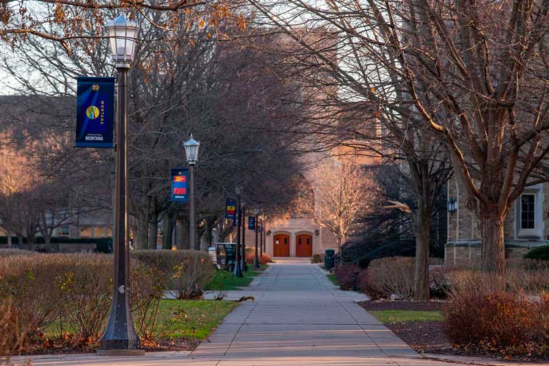 A campus sidewalk lined with lightpole banners.