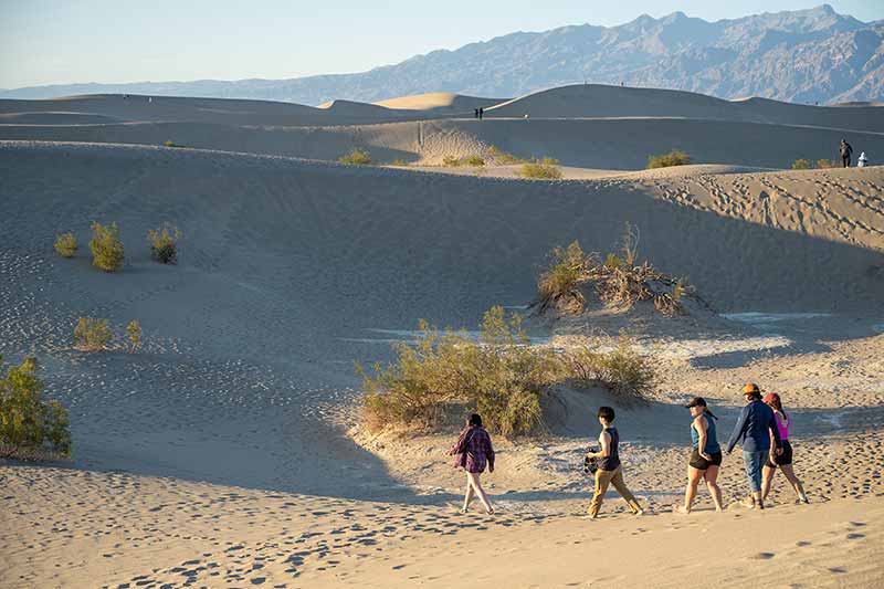 A group of five students walk barefooted through a sandy and hilly desert.