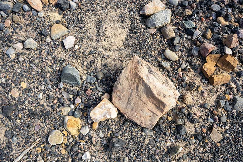 A close up of several pieces of rock varying in size.