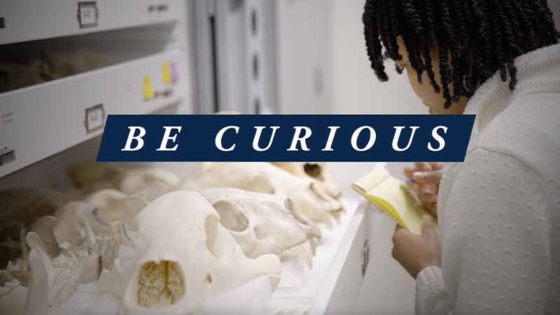 A woman writes on a small pad of paper while looking at skeletons inside of a drawer. `Be Curious` text on top of the image.
