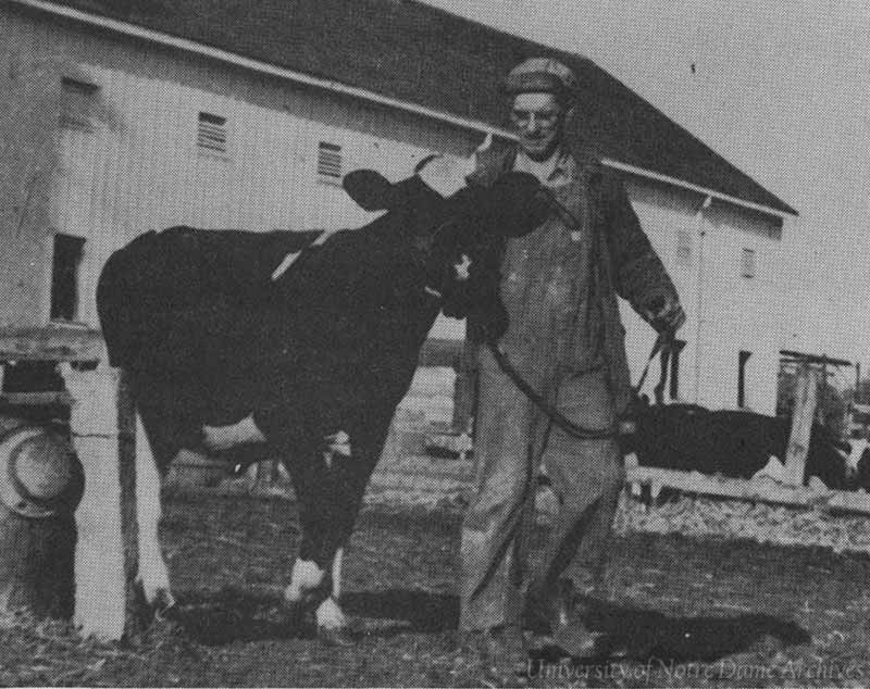A man directs a calf outside of a barn.