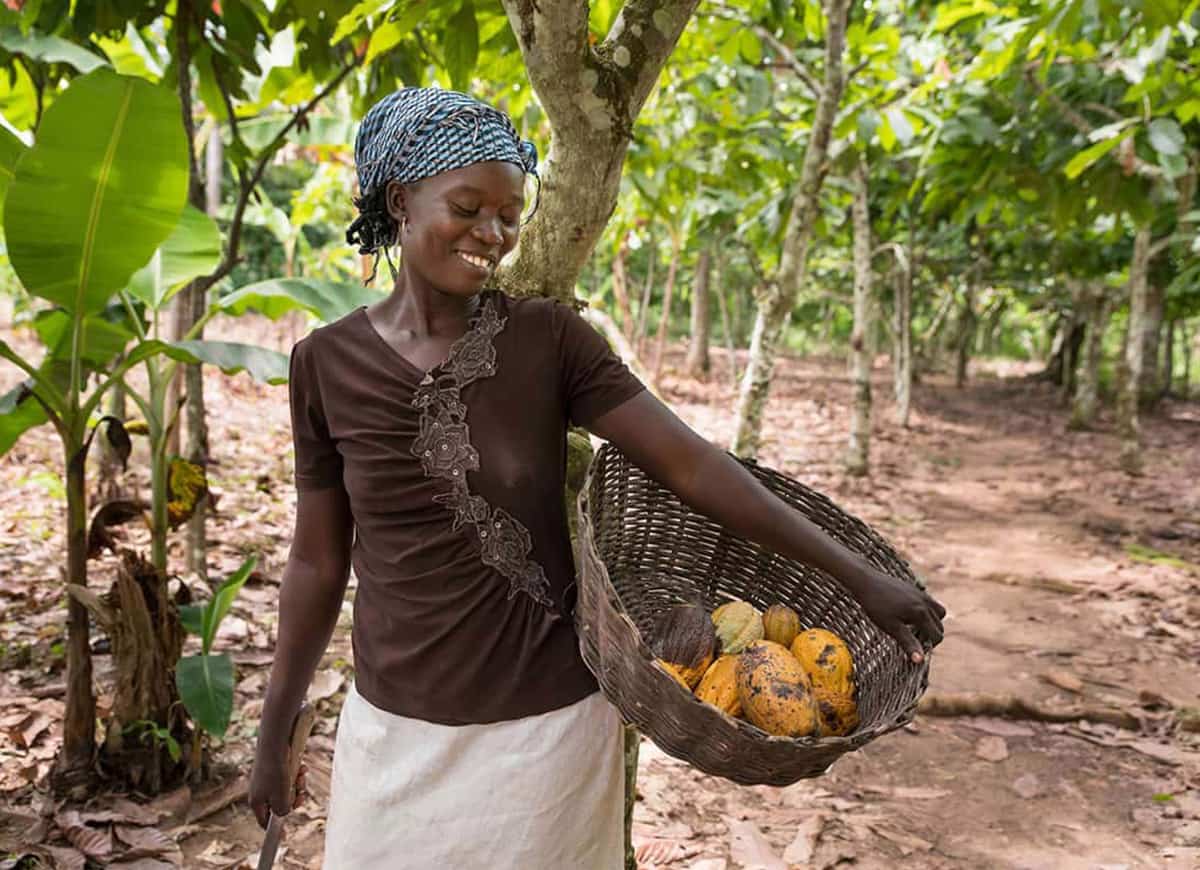 A woman holds a basket on her hip full of cocoa pods.