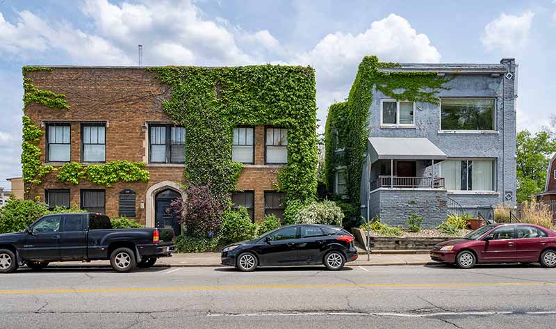 Bright green vines grow on both a brown brick building and a blue brick building. Cars are parked on the street right outside of the buildings.