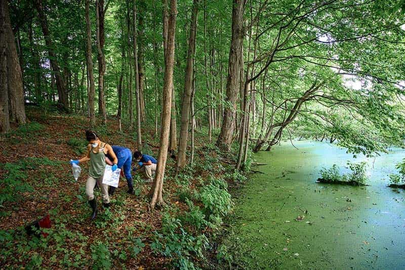 Three people walk a wooded trail carrying mosquito trap supplies.