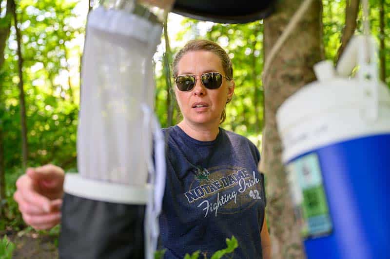 A woman in sunglasses wearing a Notre Dame t-shirt checks a mosquito light trap.