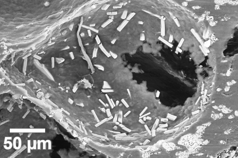 Grayscale microscopic image of a pore, surrounded by rod-shaped particles, in a rough, textured surface.