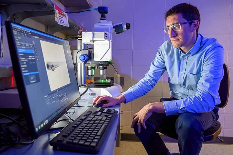Researcher in a light blue shirt sits at a computer and uses a microscope in a lab illuminated with blue light.