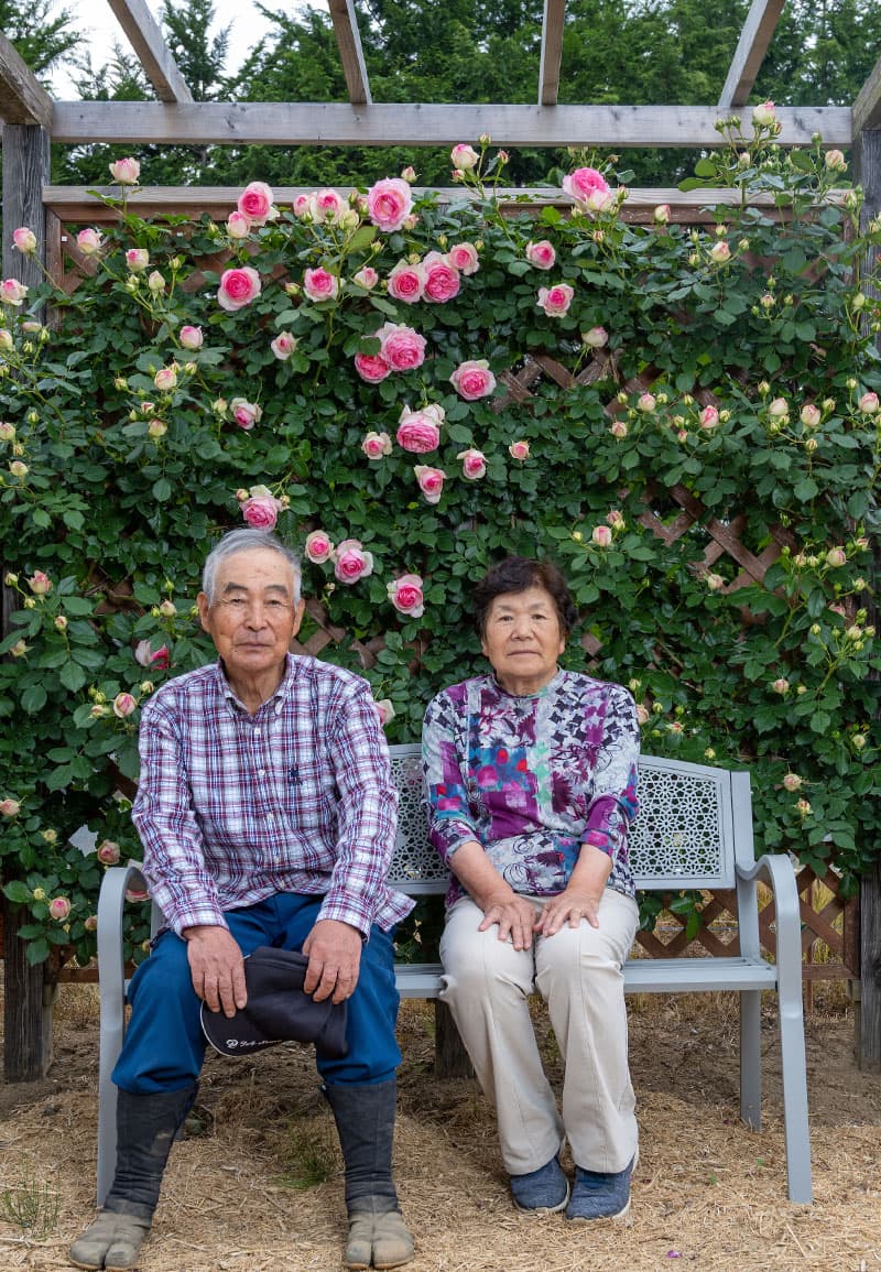 Husband and wife Yoshitomo and Hiroko Yokota sit on a bench in their rose garden, behind them pale pink roses grow up a wooden trellis.