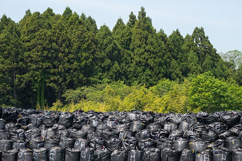 Piles of filled trash bags stacked atop one another line a street. A stark contrast to the vibrant green trees in the background.