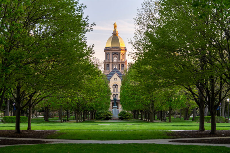 The golden dome surrounded by green trees.