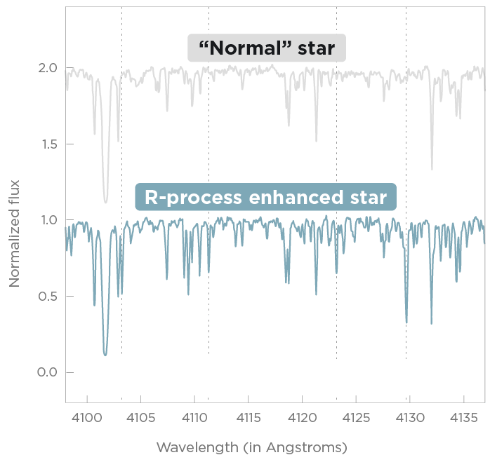 A line chart comparing the wavelength spectra of a 'normal' star and an r-process enhanced star. The r-process enhanced star has higher levels of heavy metals.