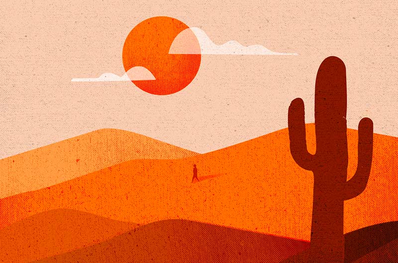 An illustration of an orange desert with a cactus.