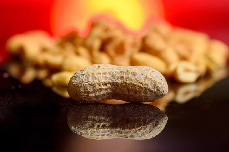 Single peanut in the shell on a reflective surface, with more peanuts blurred in the background against a warm, red and orange backdrop.