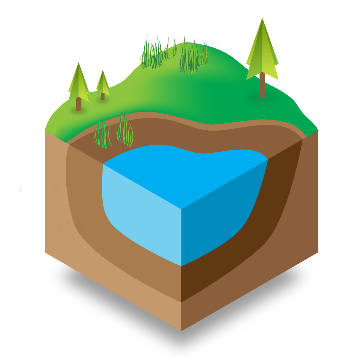 Diagram showing smaller amount of water with darker, enriched soil with more surface vegetation starting to grow.