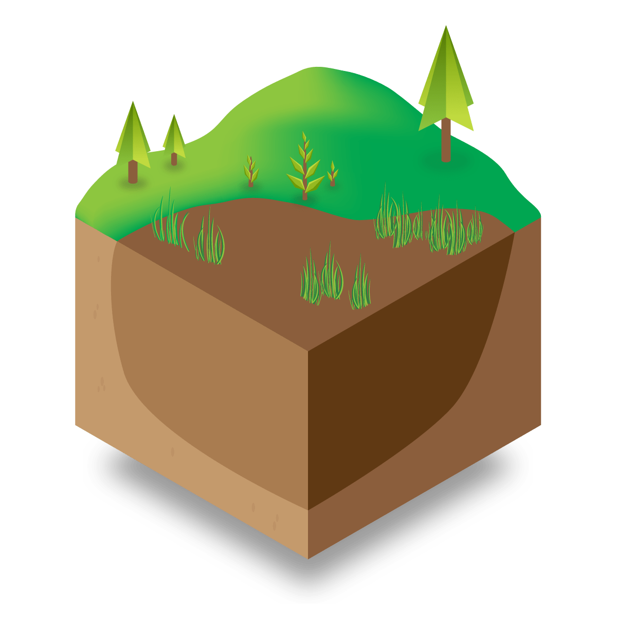 Diagram showing a darker, more saturated soil with more vegetation growing on the surface of the bog.