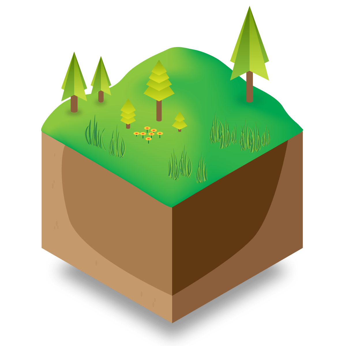 Diagram showing vegetation grown over the saturated, darker, enriched soil of a bog.