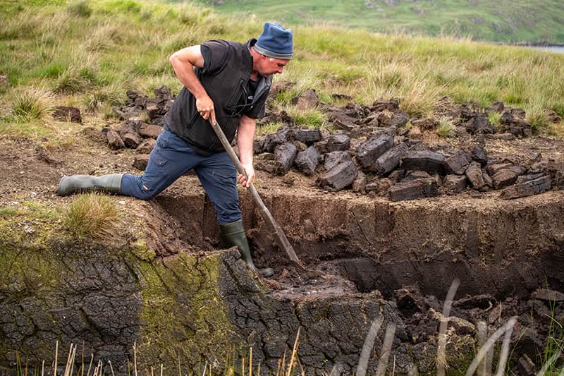 A demonstration of removal of peat from the earth using a shovel like tool called a slean.