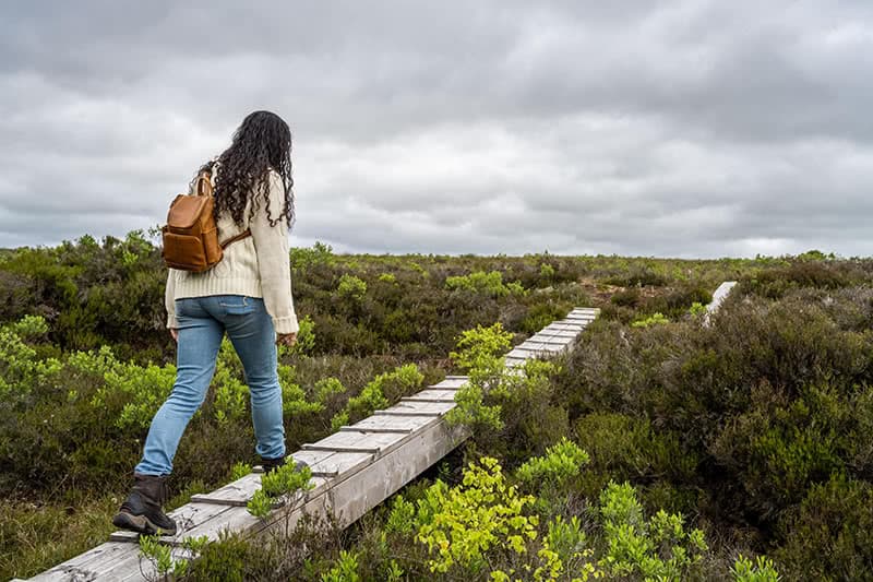 Silva walks along the wooden planks used in bogs to keep foot traffic off of delicate plant life.