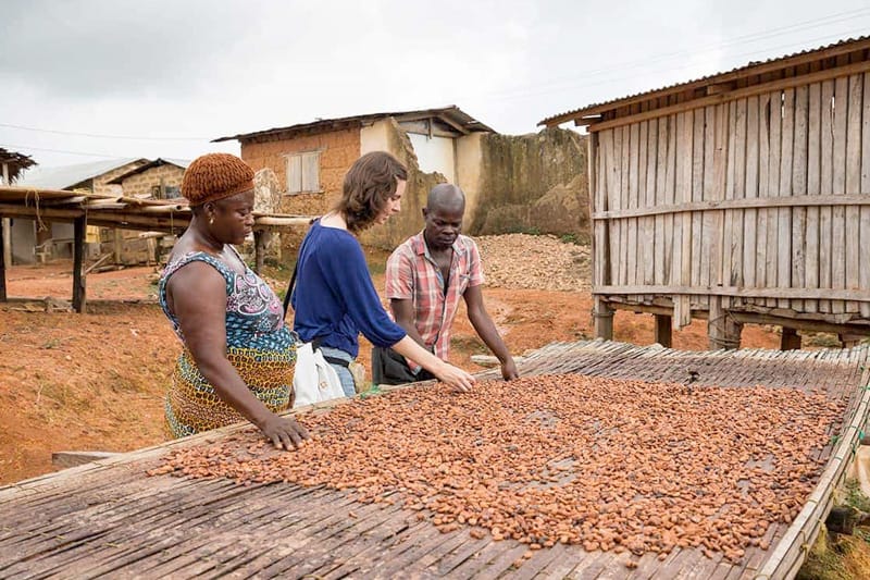 Workers look upon a table of cocoa beans