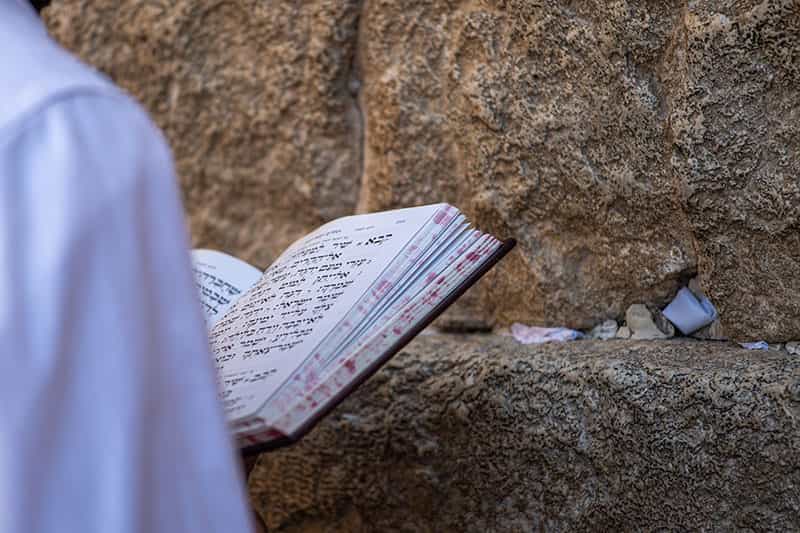 A close up show of someone holding a book next to the Western Wall.