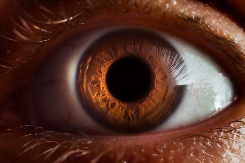 A close up of a human eye with a brown pupil.