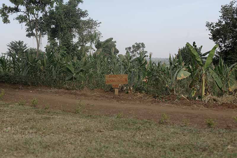 Along a dirt path are a variety of plants, and a sign that reads 'Student Demonstration - Plots'.