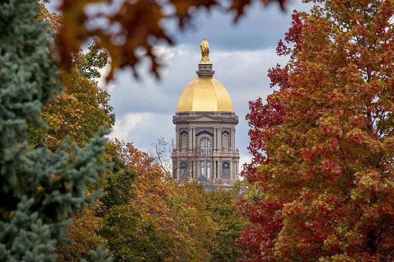The Main Building Golden Dome surrounded by fall leaves.