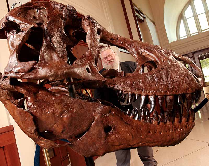 Keith Rigby, a man with a long white beard wearing glasses peeks his head through the nostril hole of a replica of a Tyrannosaurus Rex skull.