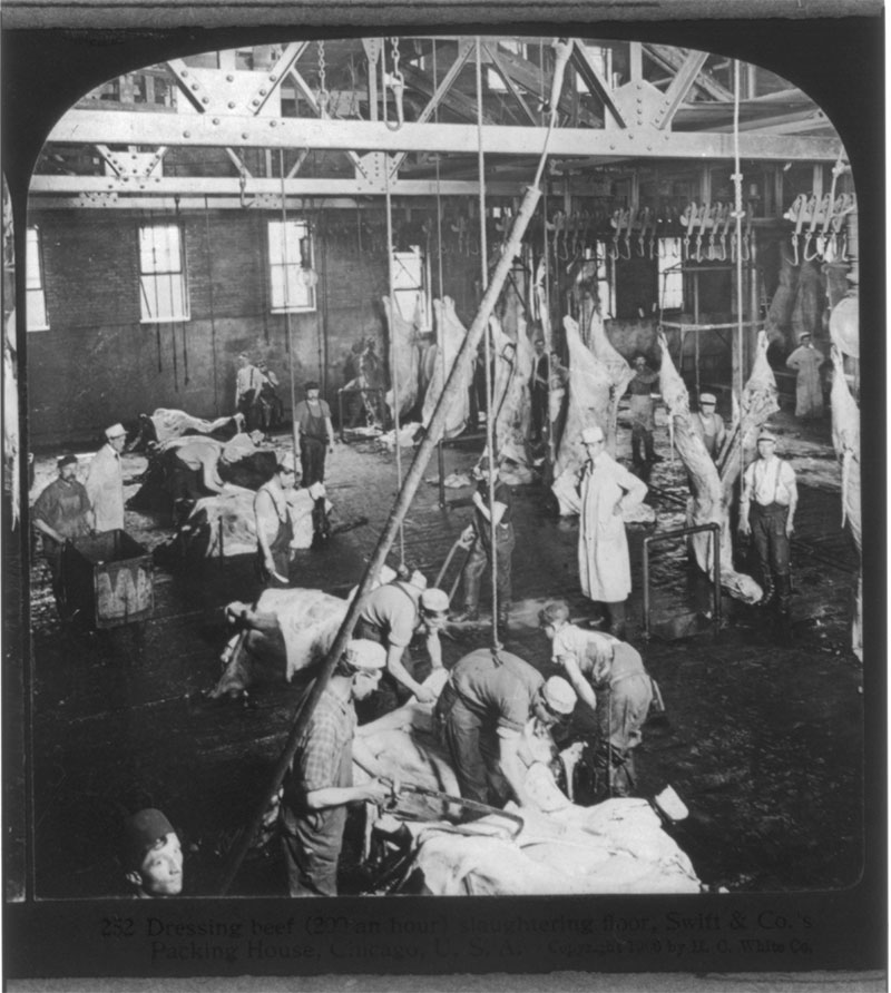 A black and white photo of workers inside of a slaughterhouse.
