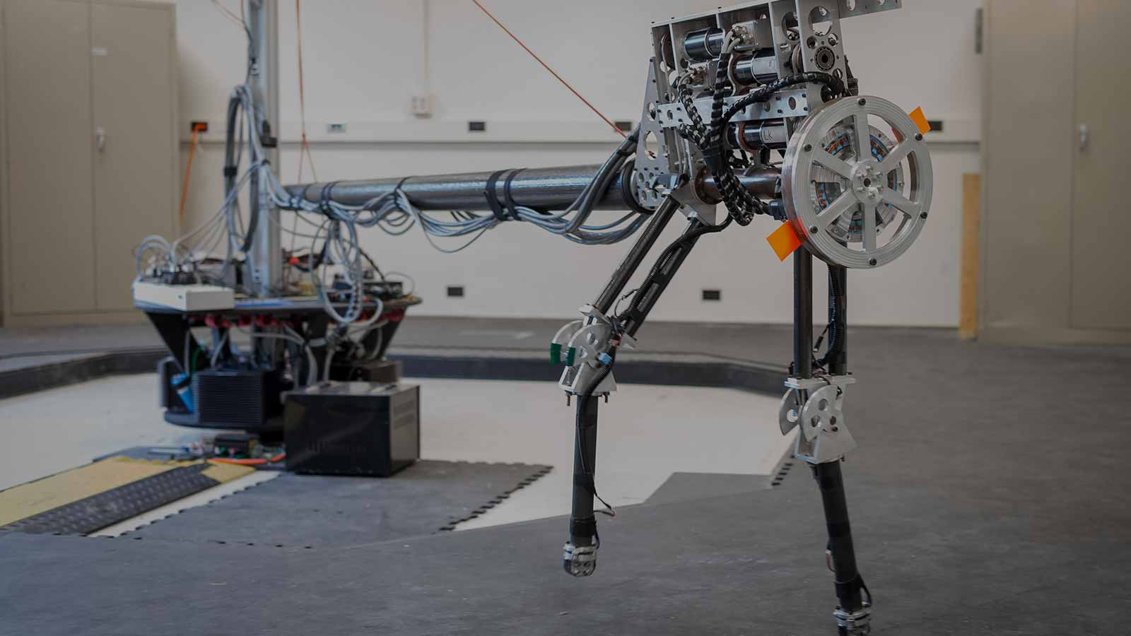 A biped robot used for spinal cord research in Professor Schmiedeler’s laboratory