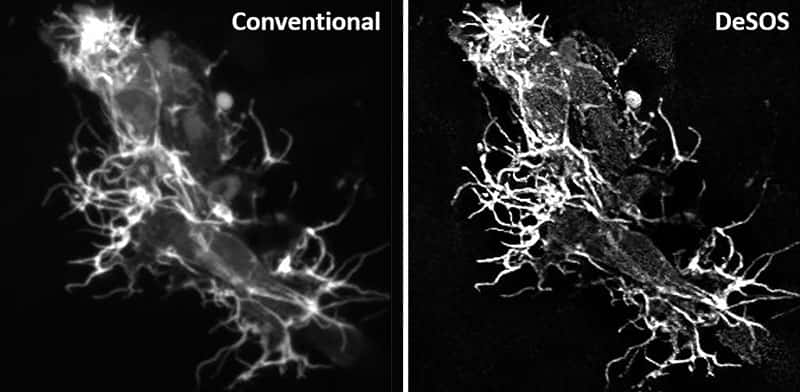 A black and white super resolution image.