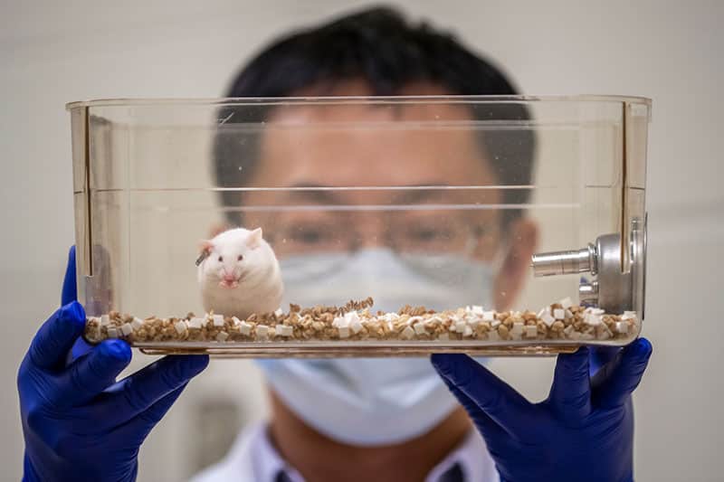 A man wearing gloves holds up lab mouse in a plastic cage.