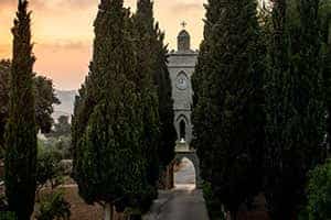 Large spruce trees stand in the forground of Tantur Ecumenical Institute and Jerusalem Global Gateway.