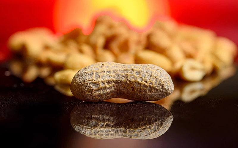 Single peanut in the shell on a reflective surface, with more peanuts blurred in the background against a warm, red and orange backdrop.