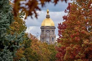 The Golden Dome surrounded by foliage.